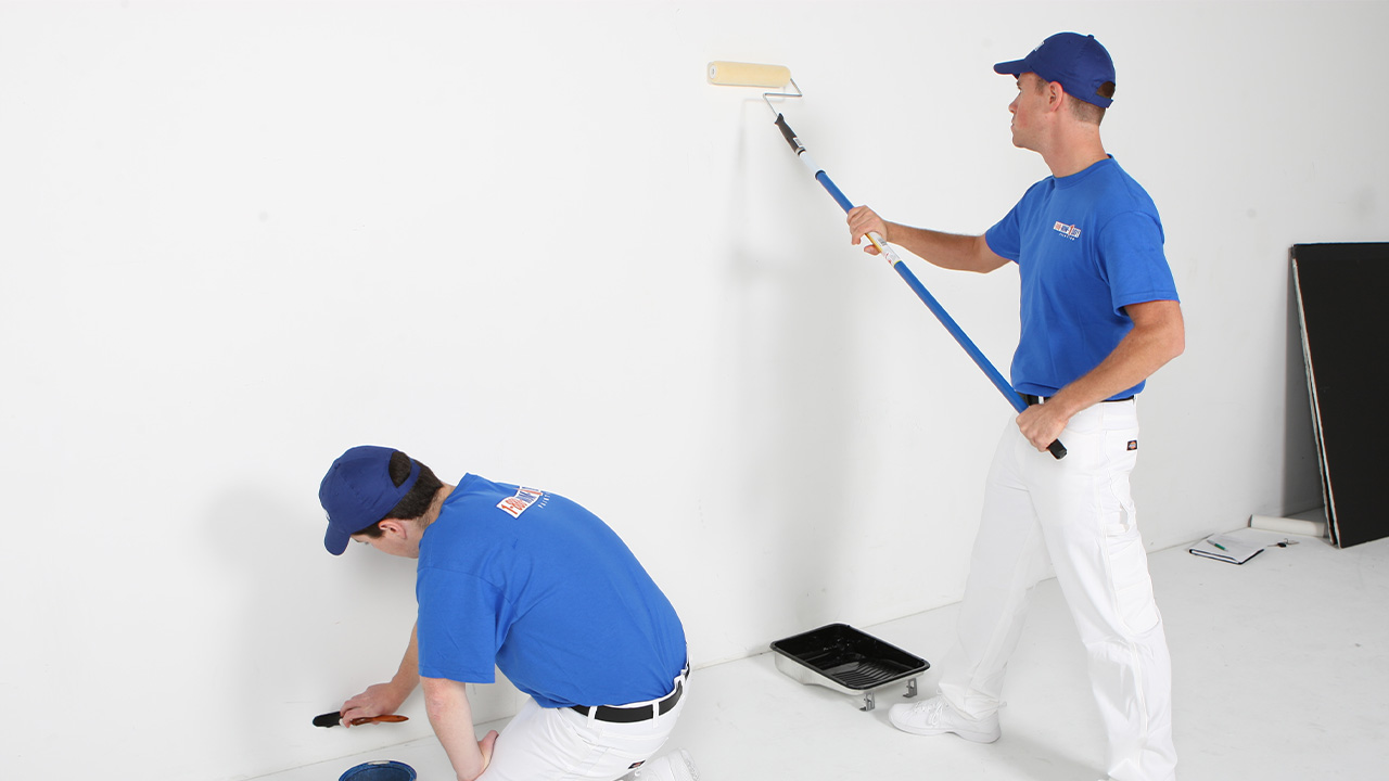 Bağlar Boya Badanacı